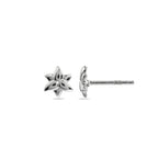 Tiny Bloom 925 Silver Studs Earrings