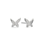 Butterfly Glow 925 Silver Studs Earrings
